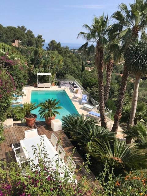 Hirondelles 35 * Cavalaire-sur-Mer